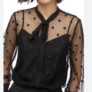 Jcrew Razz candy dotted tulle blouse